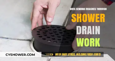 Can Flushing Roaches Down the Shower Drain Solve Your Infestation?
