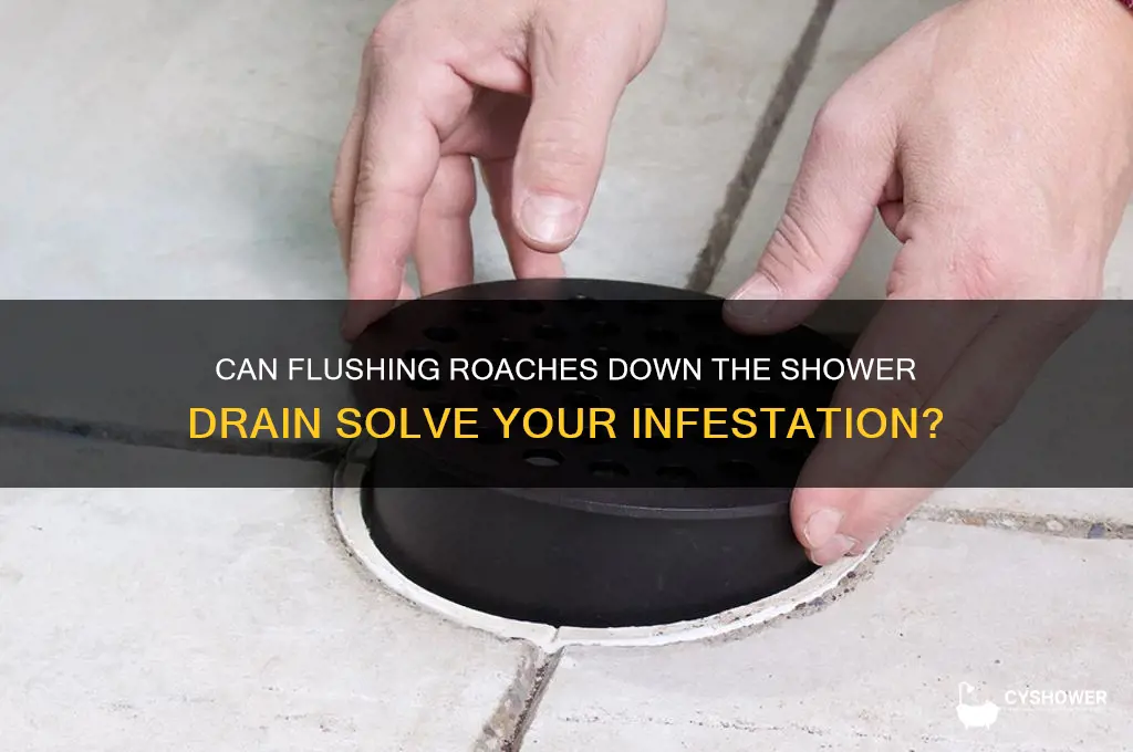 does sending roaches through shower drain work