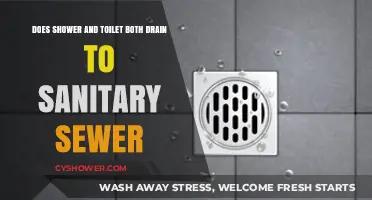 Shower and Toilet Drains: Do They Both Connect to Sanitary Sewers?