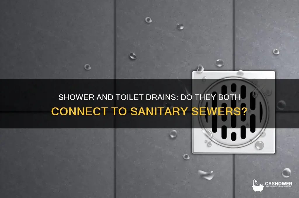 does shower and toilet both drain to sanitary sewer