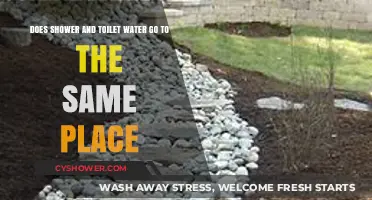 Where Does It Go? Shower and Toilet Water Drain Paths Explained