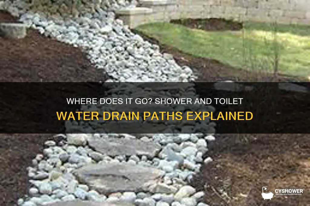 does shower and toilet water go to the same place
