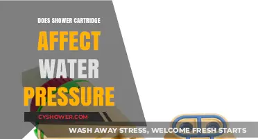 How Shower Cartridges Impact Your Home's Water Pressure Explained