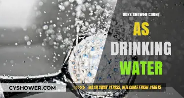 Shower Water vs. Drinking Water: Can You Hydrate While Bathing?