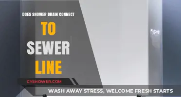 Does Your Shower Drain Connect to the Sewer Line?