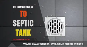Does Your Shower Drain Connect to the Septic Tank? Find Out!