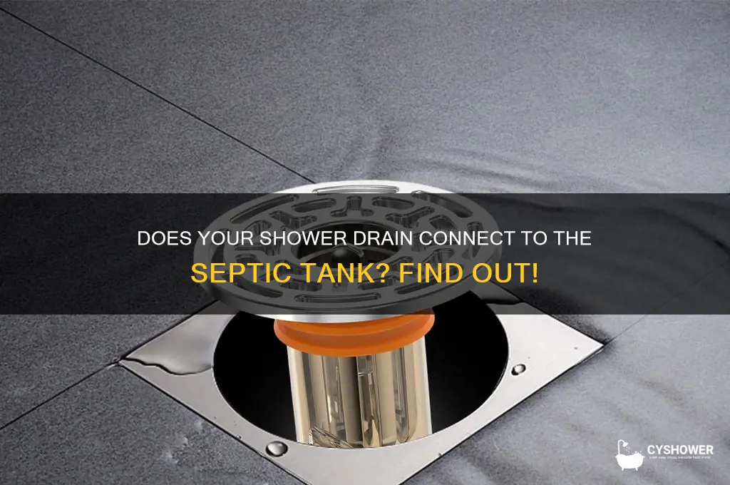 does shower drain go to septic tank