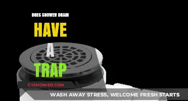 Understanding Shower Drain Traps: Essential Plumbing Components Explained