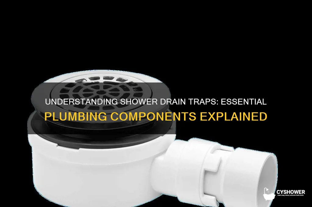 does shower drain have a trap