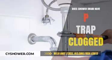 Shower Drain Clogged? How to Fix a P-Trap Blockage Fast