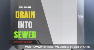 Does Your Shower Drain into the Sewer? Here's What You Need to Know