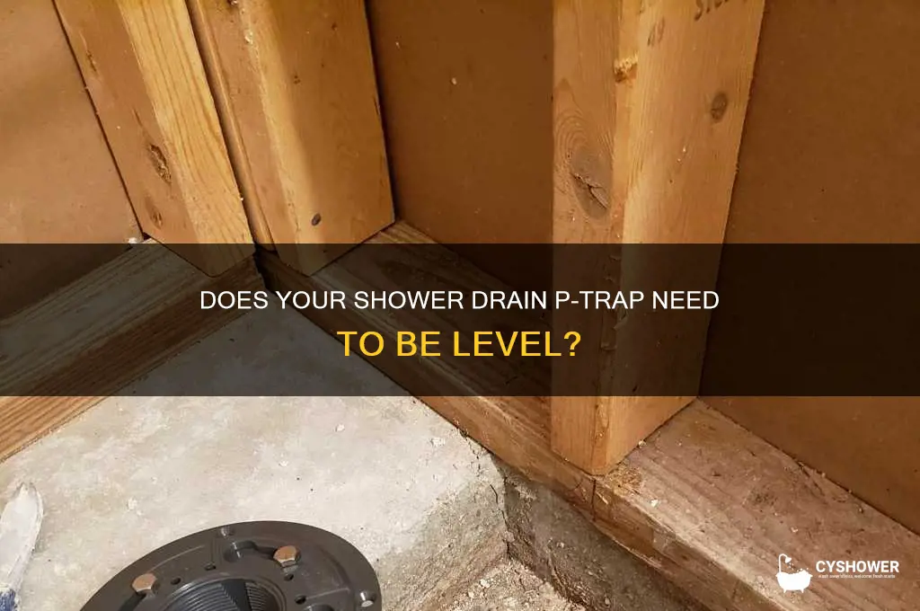 does shower drain p-trap need to be level
