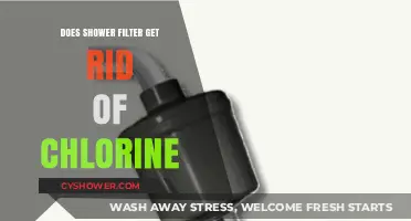 Shower Filters: Effective Chlorine Removal for Healthier Skin and Hair?