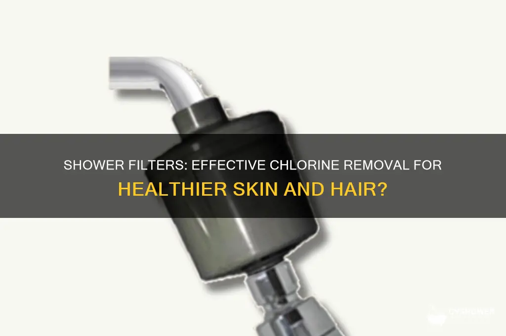 does shower filter get rid of chlorine