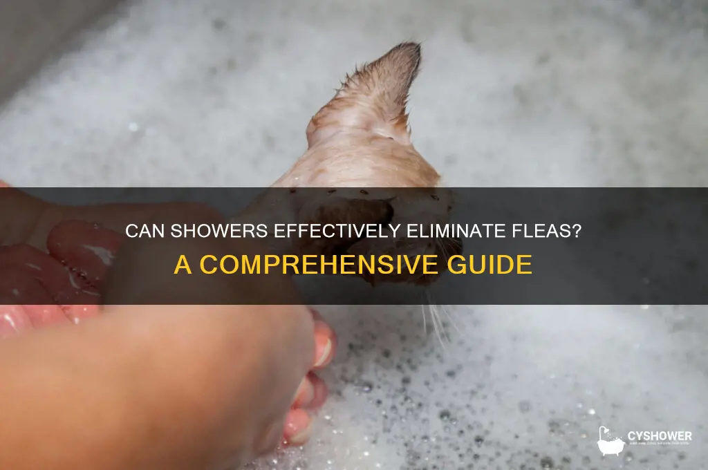 does shower get rid of fleas