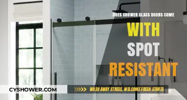 Spot-Resistant Shower Glass Doors: Fact or Fiction? A Comprehensive Guide