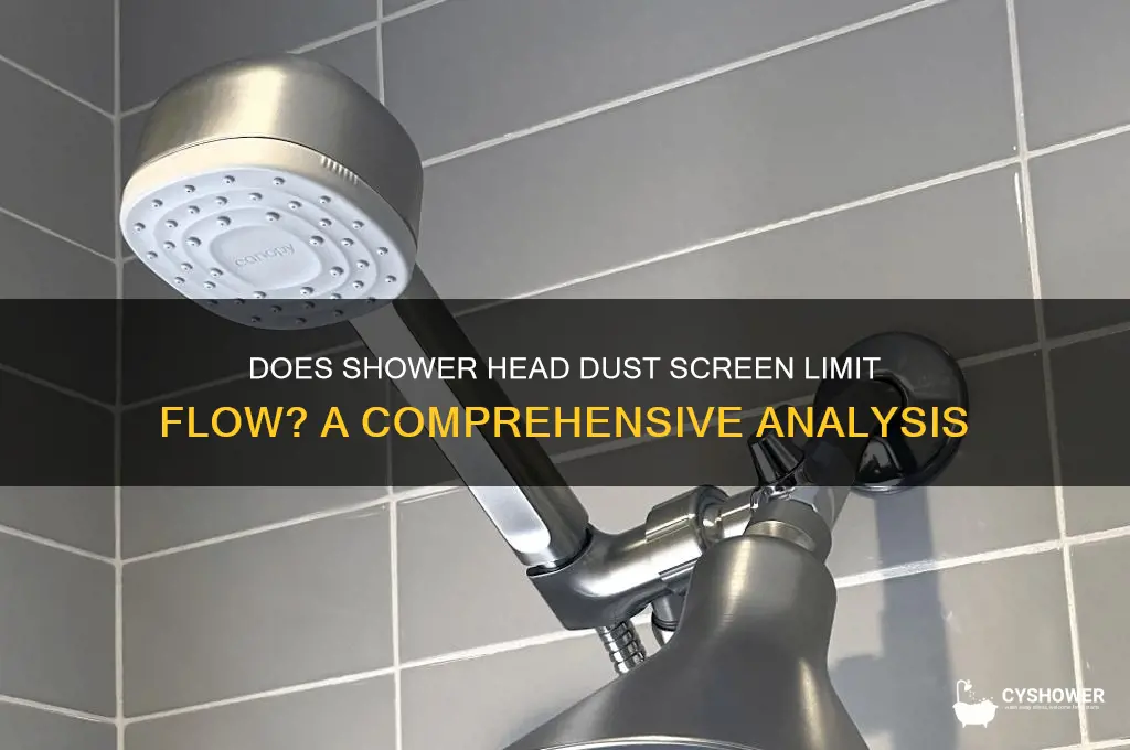 does shower head dust screen limit flow