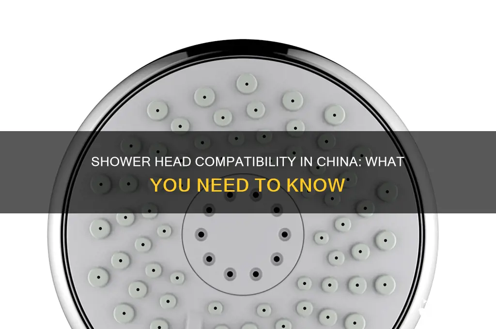 does shower head fit in china