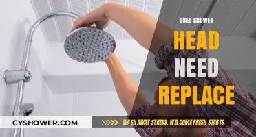 When to Replace Your Shower Head: Signs and Solutions