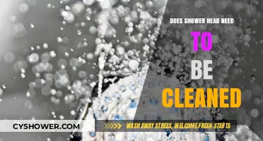 Why Cleaning Your Shower Head is Essential for Hygiene and Performance