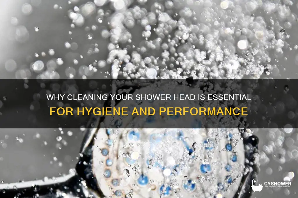 does shower head need to be cleaned