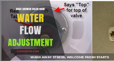 Shower Valve Water Flow Adjustment: Functionality and Control Explained