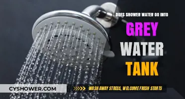 Does Shower Water Enter Grey Water Tanks? A Plumbing Guide