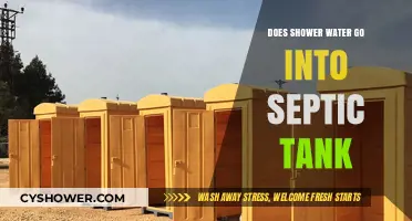 Does Shower Water Enter Septic Tanks? Understanding Your Home's Plumbing