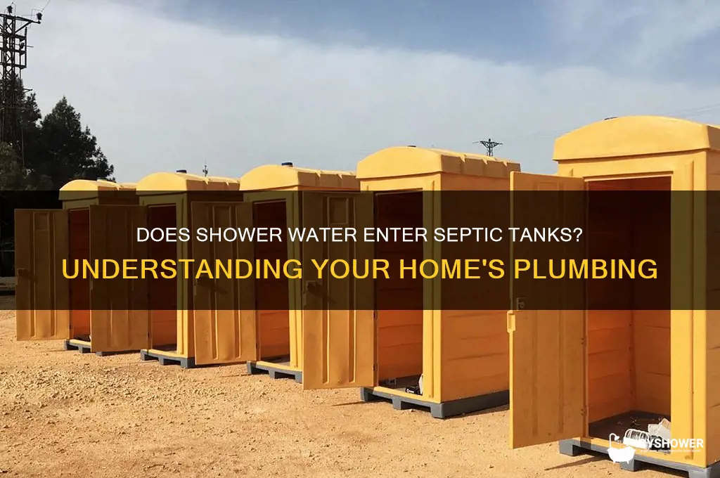 does shower water go into septic tank