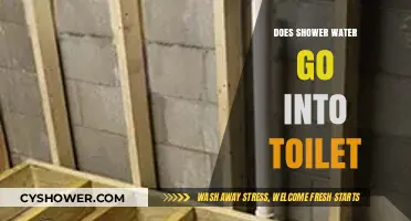 Does Shower Water Go into Toilet? Exploring Plumbing Connections
