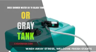 Shower Water Disposal: Gray Tank or Black Tank?