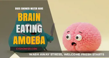Brain-Eating Amoeba in Shower Water: Fact or Fiction?