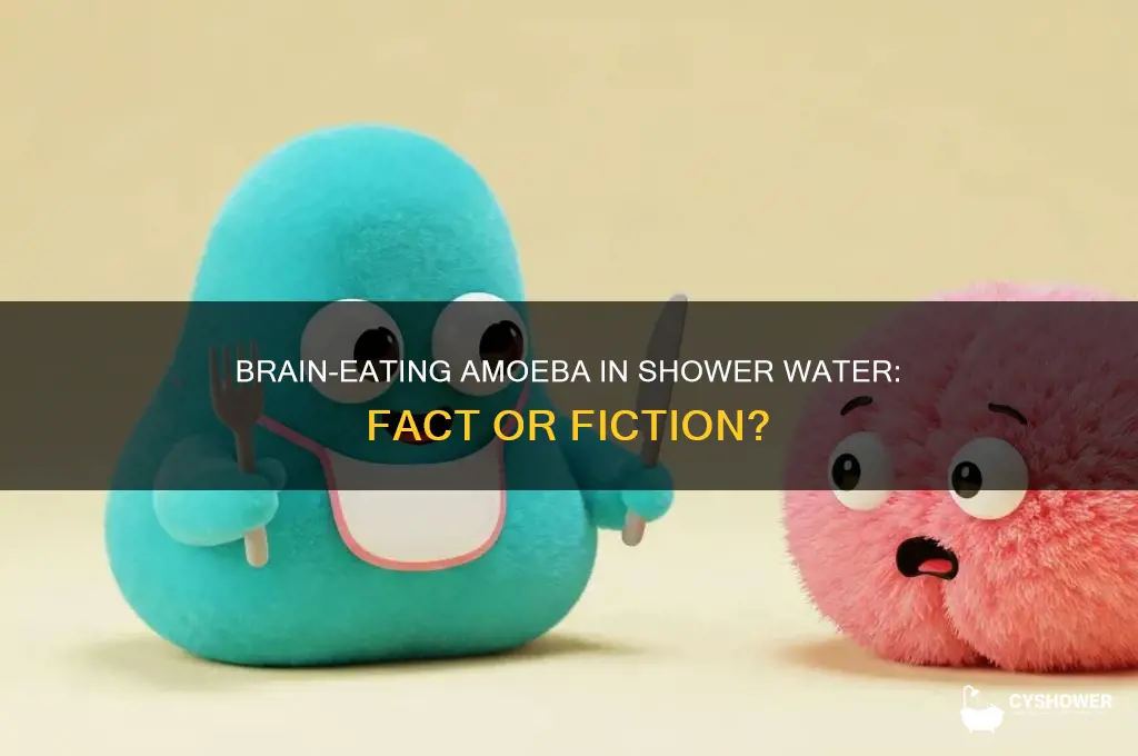 does shower water have brain eating amoeba