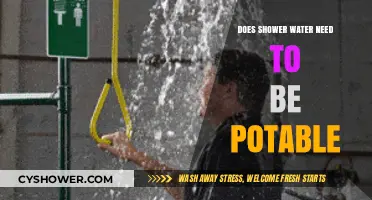 Is Potable Water Necessary for Showers? Exploring Safety and Alternatives