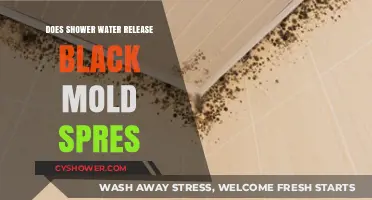 Shower Water and Black Mold: Uncovering the Hidden Health Risks