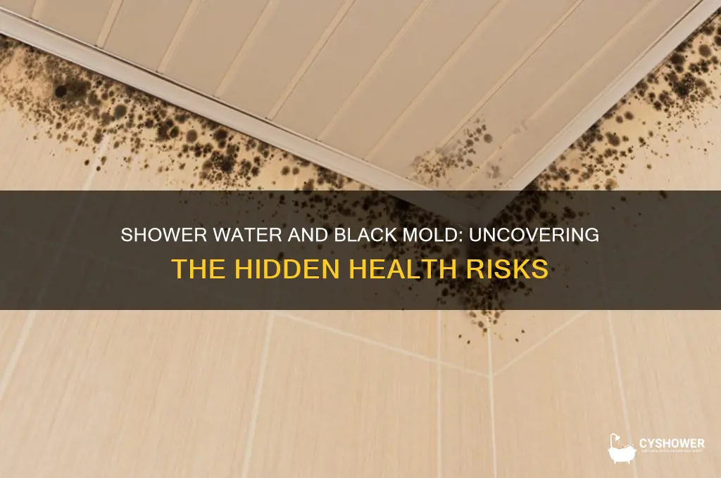 does shower water release black mold spres