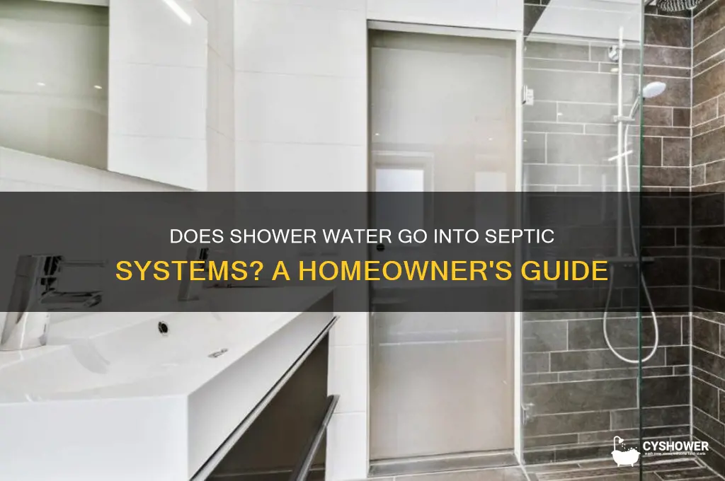 does shower water run into septic