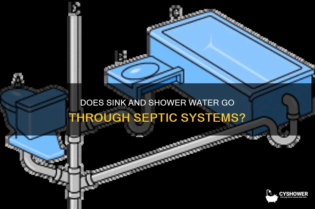 does sink and shower water go through septic