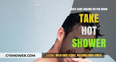 Hot Showers and Soap Absorption: Does Temperature Enhance Cleansing?