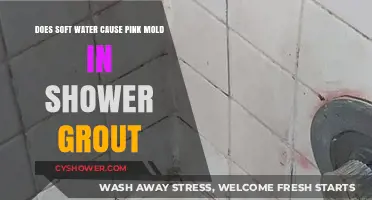 Soft Water and Pink Mold: Unraveling the Shower Grout Mystery