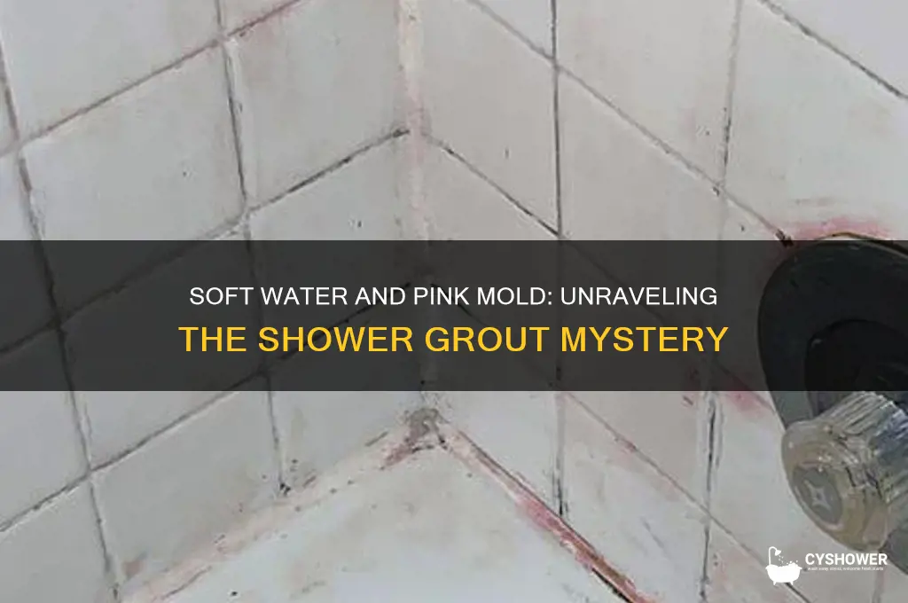 does soft water cause pink mold in shower grout