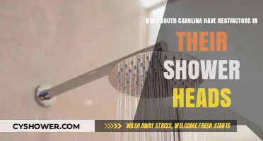 South Carolina Shower Head Restrictions: What You Need to Know