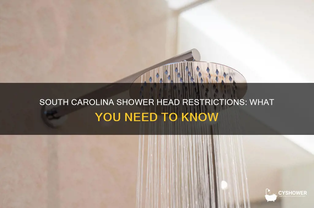 does south carolina have restrictors in their shower heads
