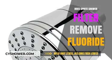 Does Sprite Shower Filter Remove Fluoride? A Comprehensive Analysis