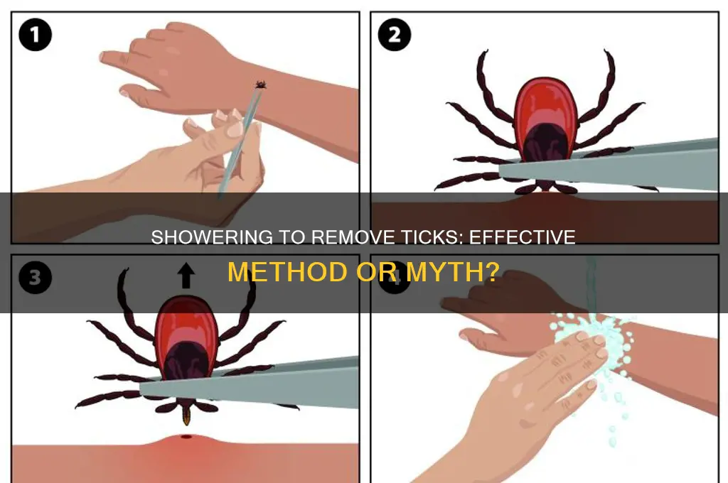 does taking a shower get ticks off