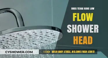 Texas Water Conservation: Do Low-Flow Shower Heads Meet State Standards?
