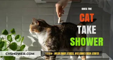 Do Cats Need Showers? Exploring Feline Grooming Habits and Hygiene