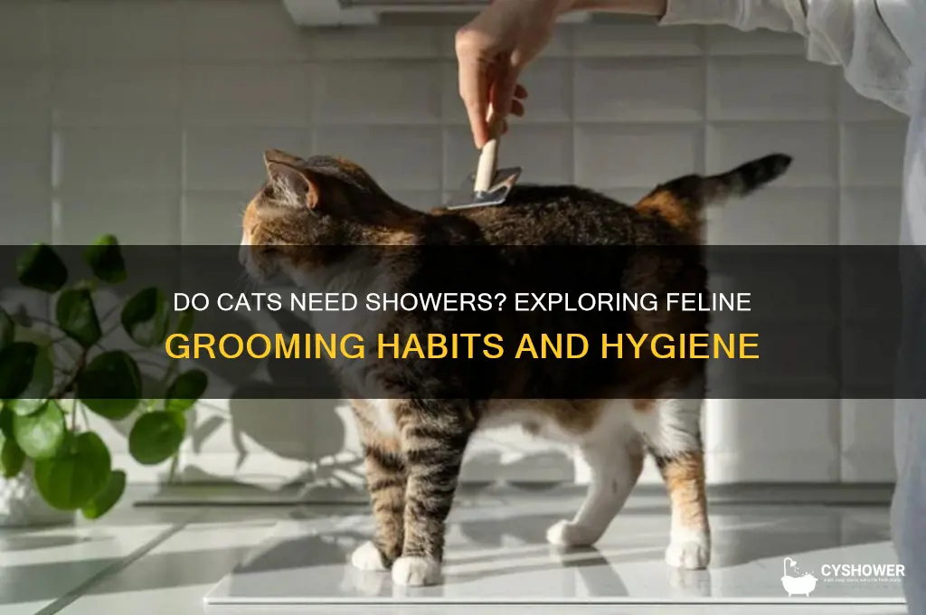 does the cat take shower
