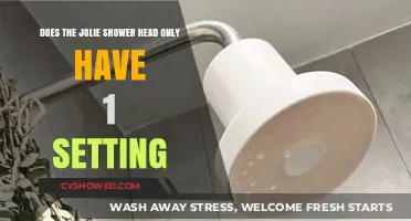 Jolie Shower Head: Unveiling the Truth About Its Single Setting