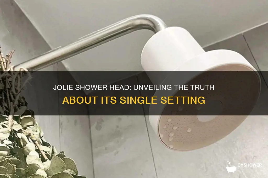 does the jolie shower head only have 1 setting